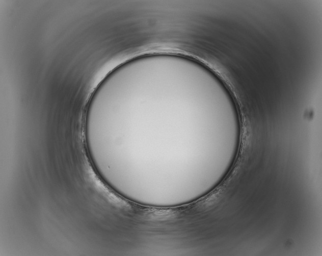 X0000115111382200911171255