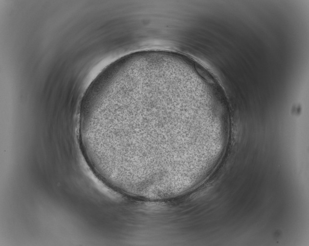 X0000115111383200911171255