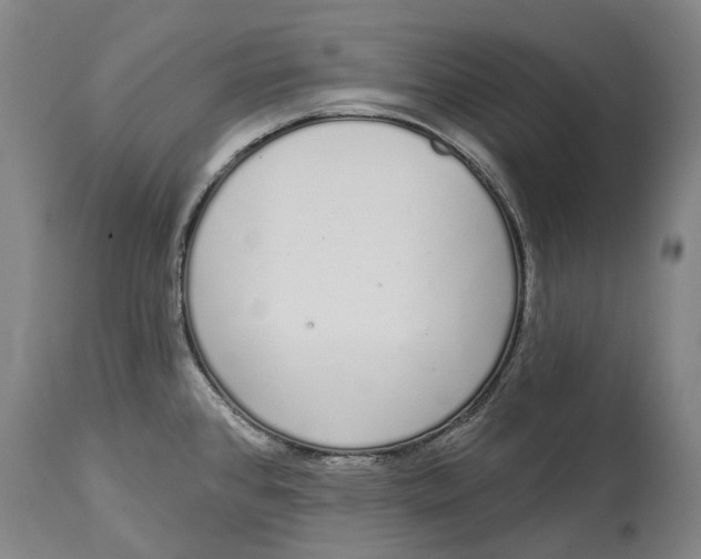 X0000115111384200911171255