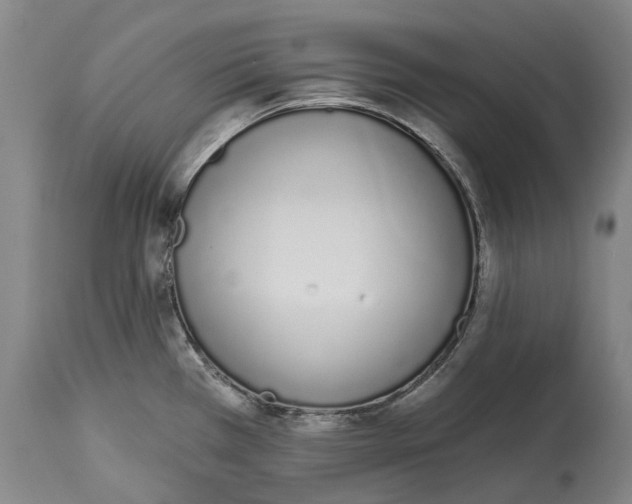 X0000115111385200911171255