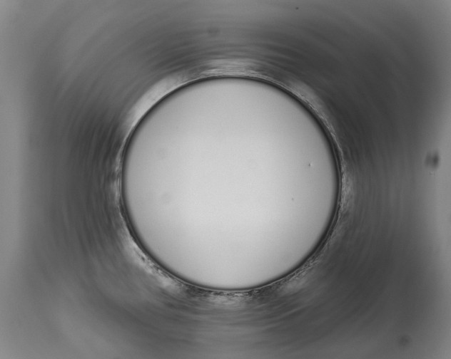 X0000115111386200911171255