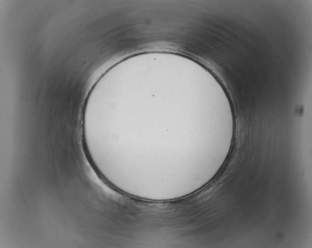 X0000115111387200911171254