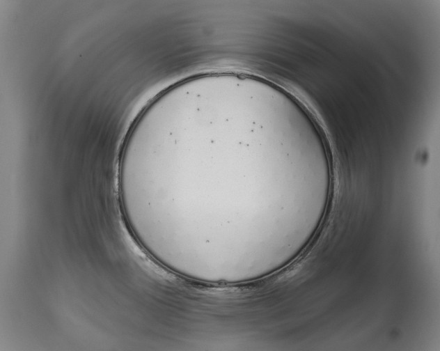 X0000115111388200911171254