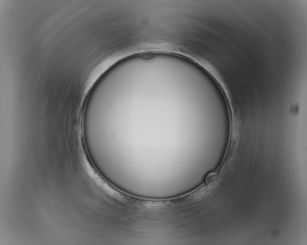 X0000115111389200911171254