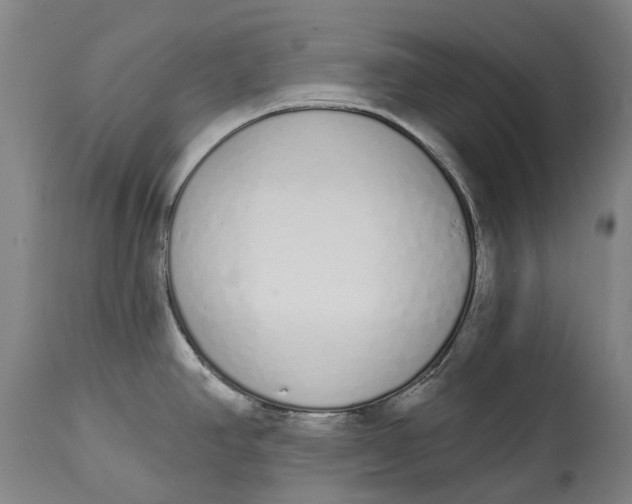 X0000115111390200911171254