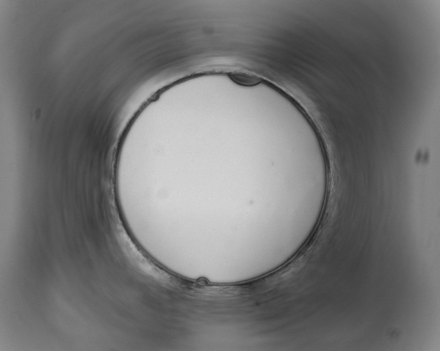 X0000115111392200911171254