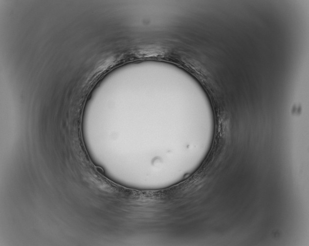 X0000115111393200911171254