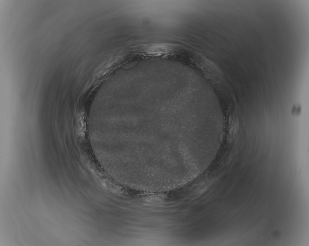 X0000115111394200911171254