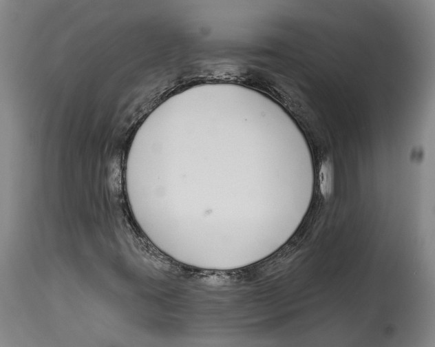X0000115111395200911171254