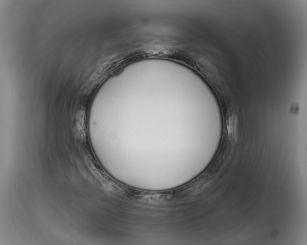 X0000115111396200911171254