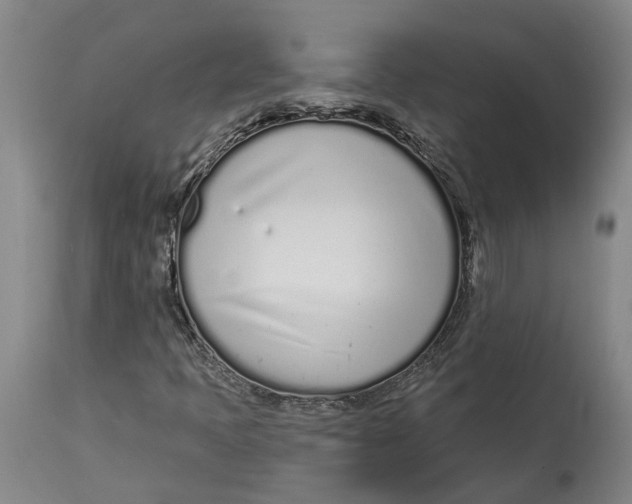 X0000115111397200911171254