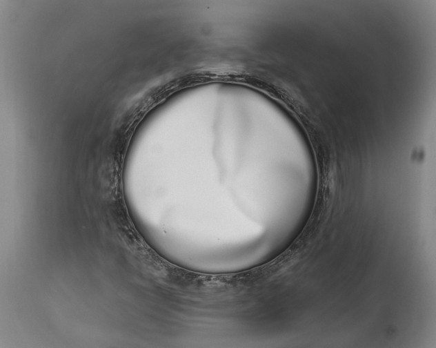 X0000115111398200911171254