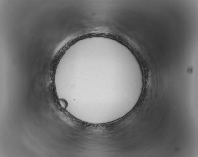 X0000115111400200911171254