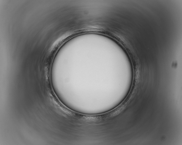 X0000115111402200911171254