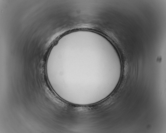 X0000115111404200911171254