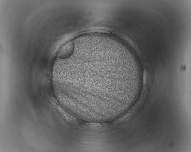 X0000115111405200911171254