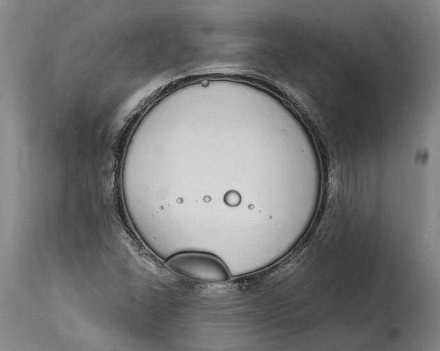 X0000115111406200911171254