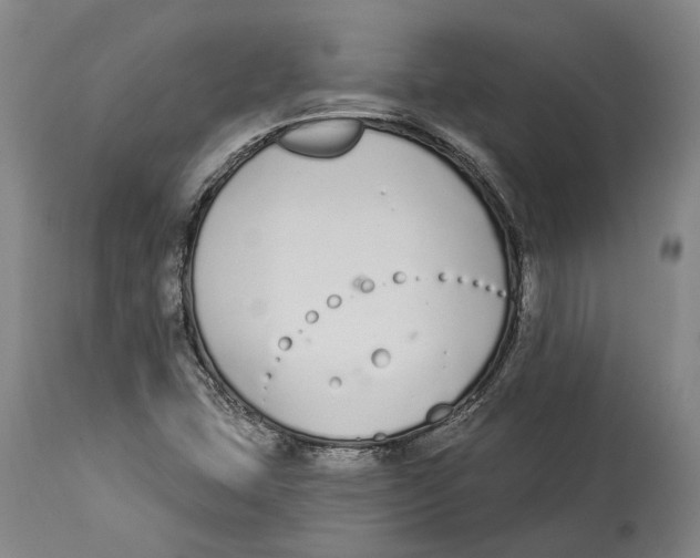 X0000115111407200911171254