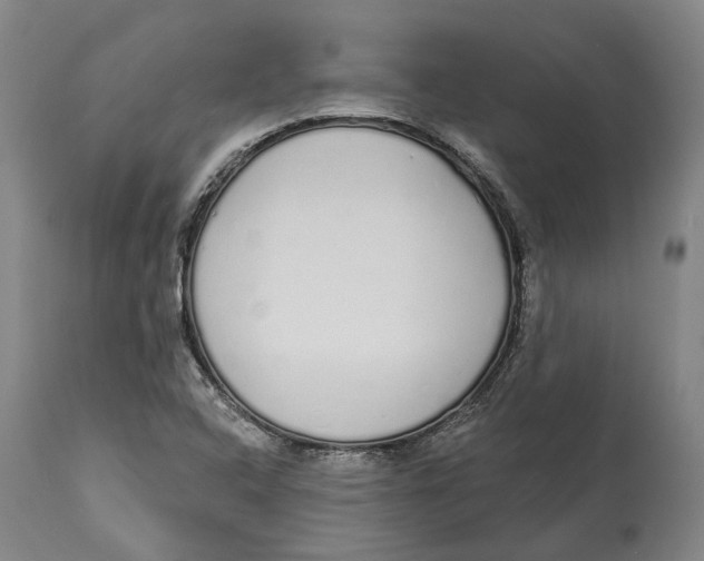 X0000115111408200911171254