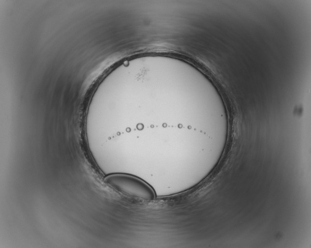X0000115111410200911171254