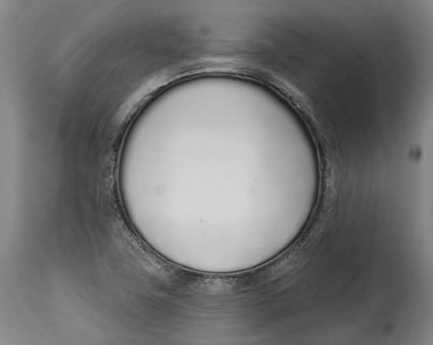 X0000115111411200911171254