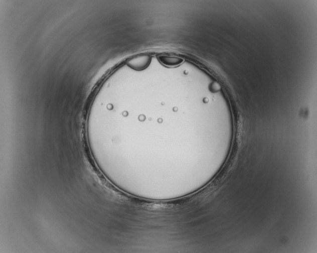 X0000115111412200911171254