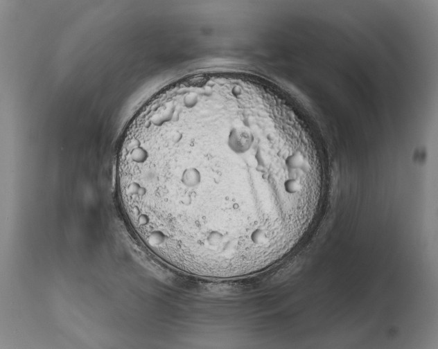 X0000115111413200911171254