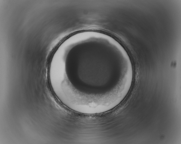 X0000115111414200911171254