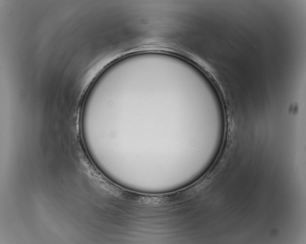 X0000115111415200911171254