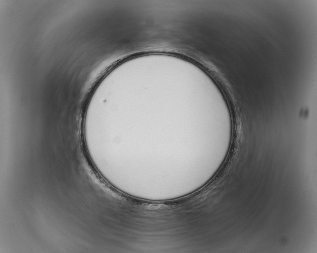 X0000115111416200911171254
