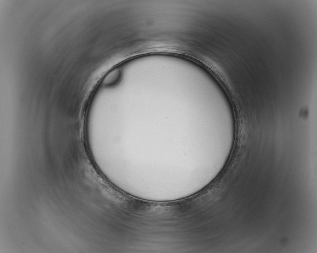 X0000115111419200911171254