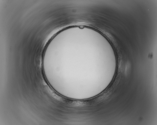 X0000115111420200911171254