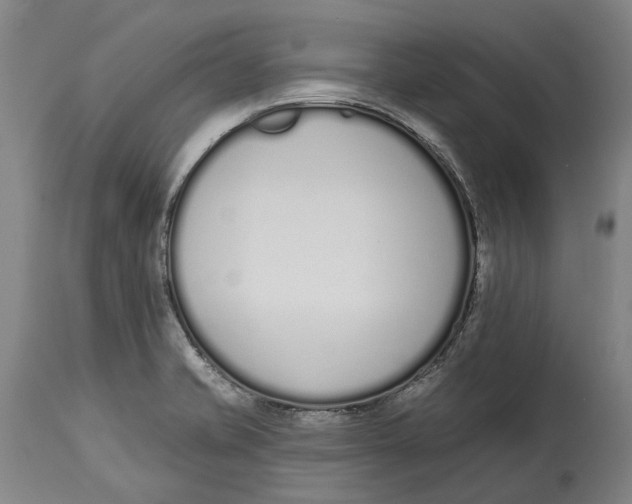 X0000115111421200911171254