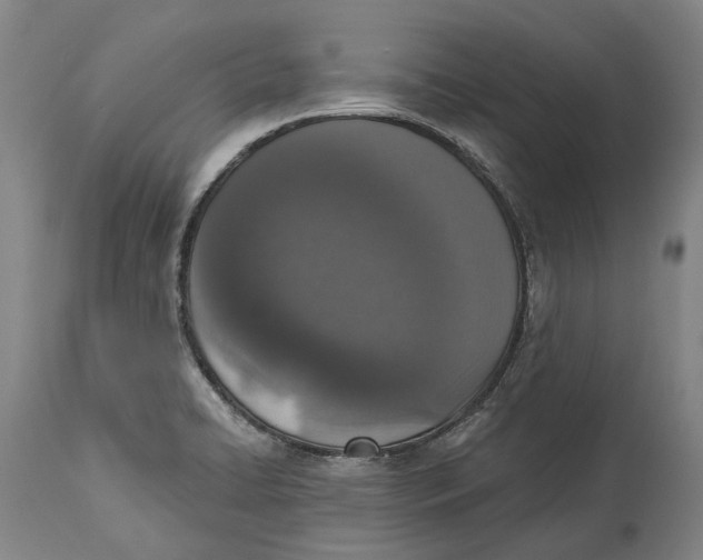 X0000115111422200911171254