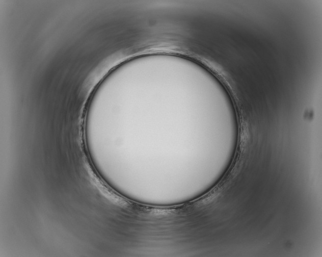 X0000115111423200911171254