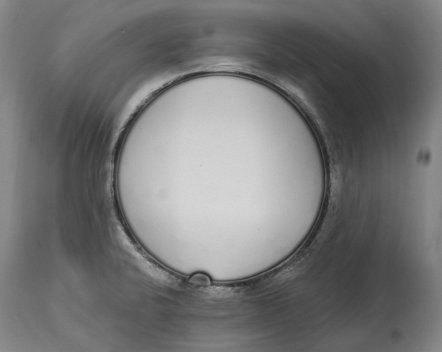 X0000115111424200911171254