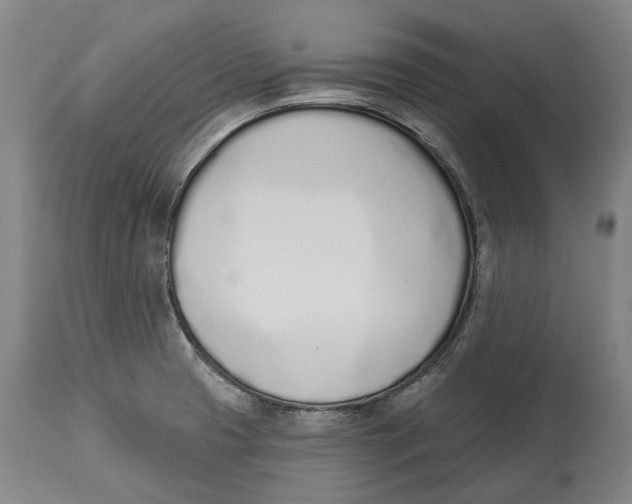 X0000115111425200911171254