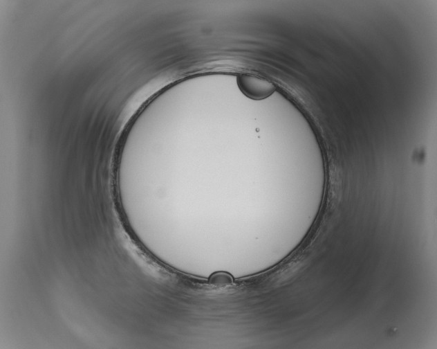 X0000115111426200911171254