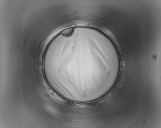 X0000115111427200911171254
