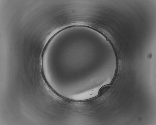 X0000115111428200911171254