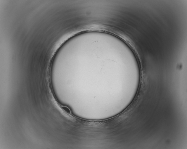 X0000115111429200911171254