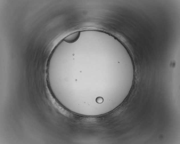 X0000115111431200911171254