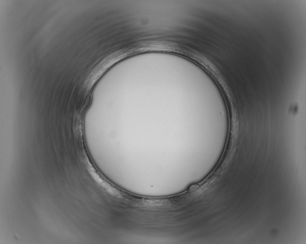 X0000115111433200911171254