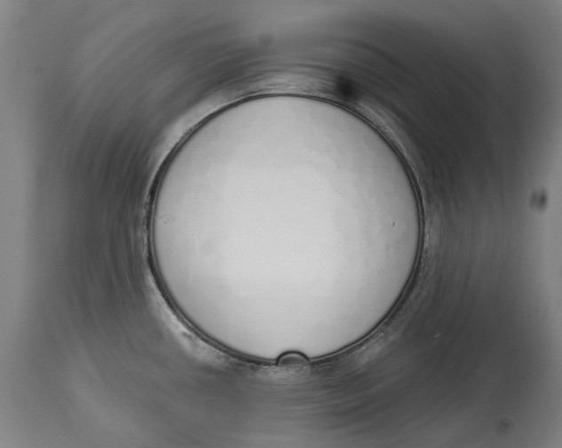 X0000115111434200911171254