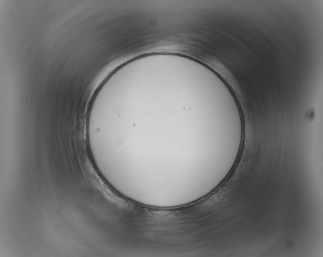 X0000115111436200911171254