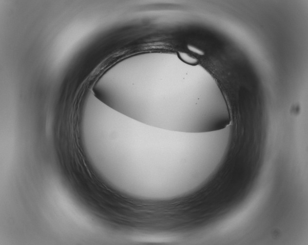 X0000115111438200911171254