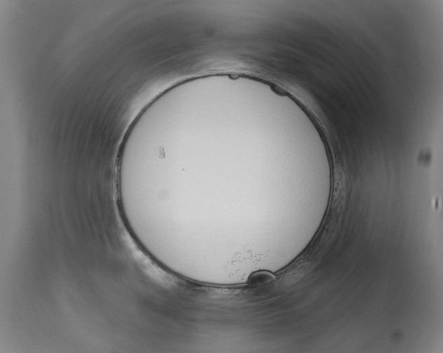 X0000115111439200911171254