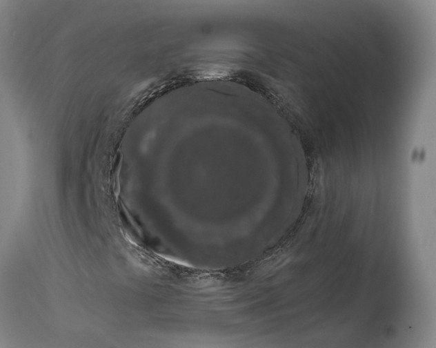 X0000115111441200911171254