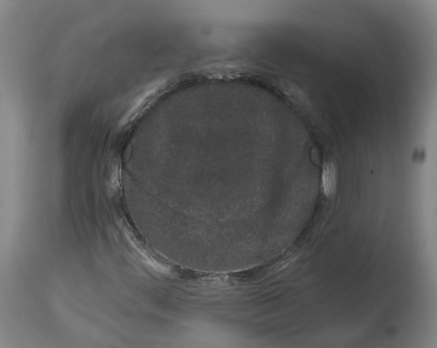 X0000115111444200911171254