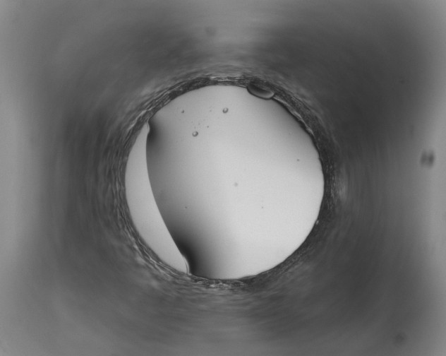 X0000115111445200911171254